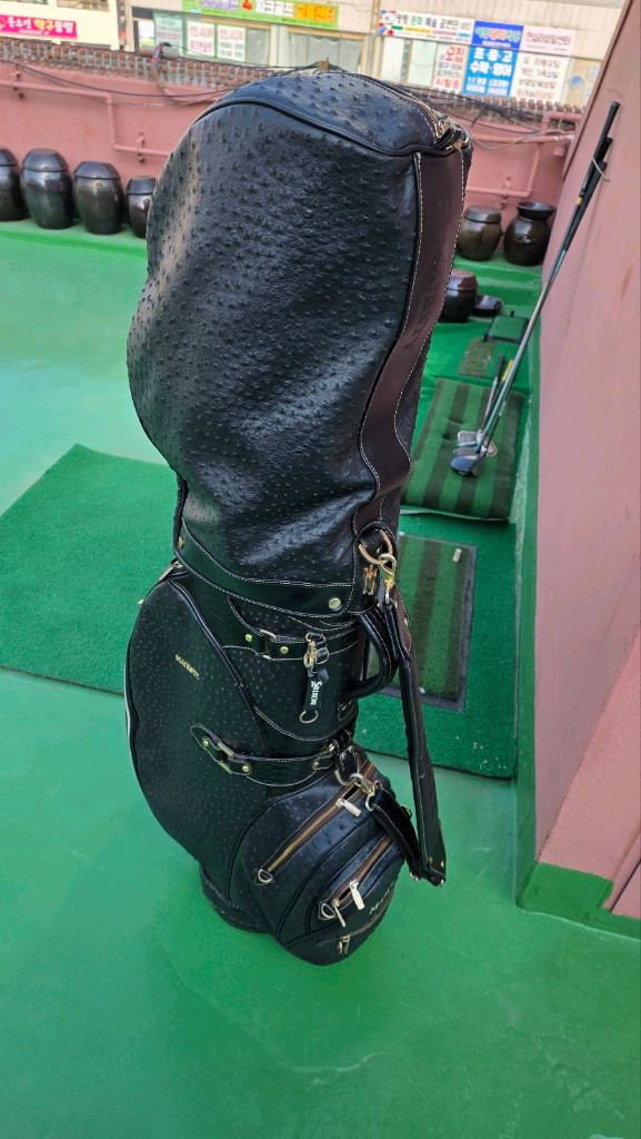 골프 마제스티 풀셋--9