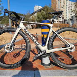 거스토 프로 팀에디션 카본로드자전거