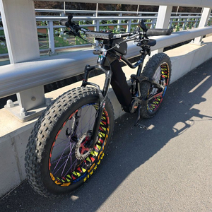 전기 카본 풀샥 팻바이크