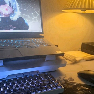 델에일리언웨어 51M R2 2080Super 360HZ게이밍노트북