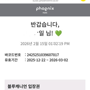 휘닉스파크 블루캐니언 입장권