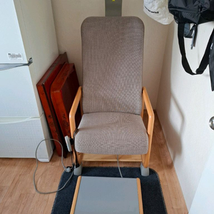 일본 헬스트론 전위치료기 이미지