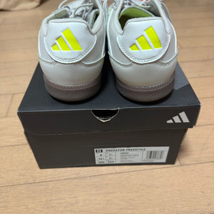 아디다스 프레데터 인도어