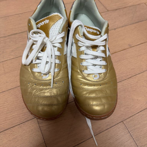 데스포르치 인도어