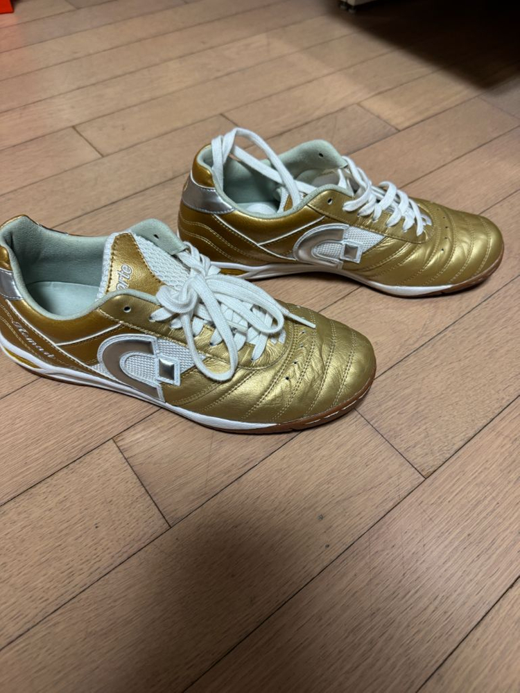 데스포르치 인도어--1