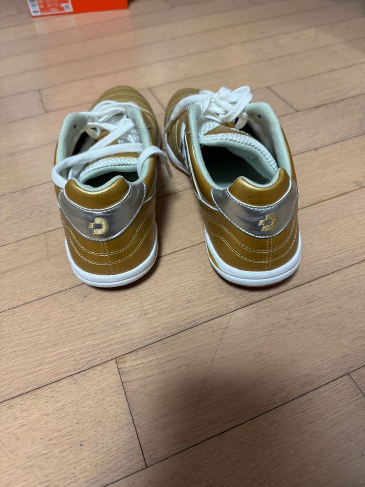 데스포르치 인도어--2