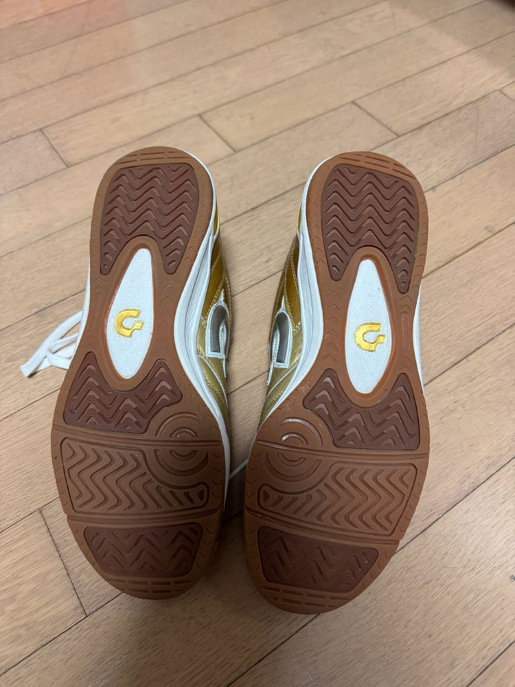 데스포르치 인도어--4