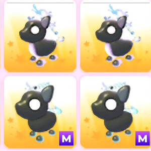 입양하세요 메가네온 화염 망아지 이미지