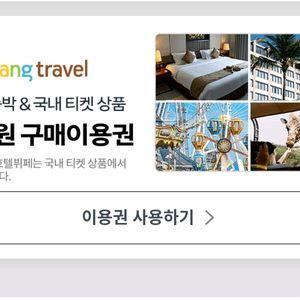 쿠팡트래블 2만원권 판매