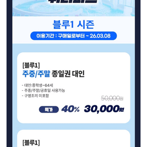 휘닉스 블루캐니언 대인1소인1