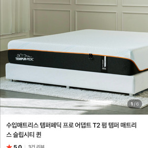 템퍼페딕 프로 어댑트 매트리스+파운데이션