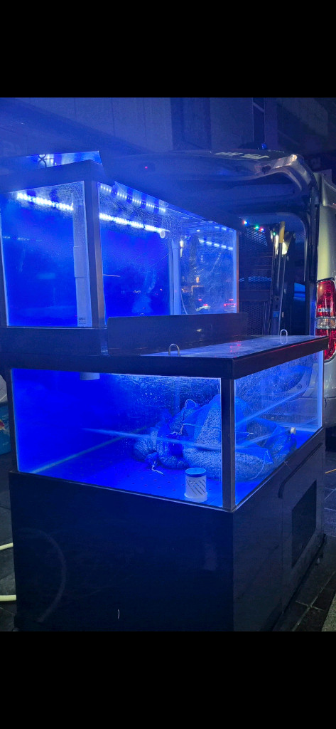 업소용 수족관 풀셋트 초급매 할인!! 이미지