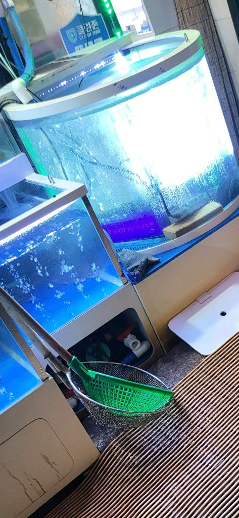 업소용 수족관 풀셋트 초급매 할인!! 이미지