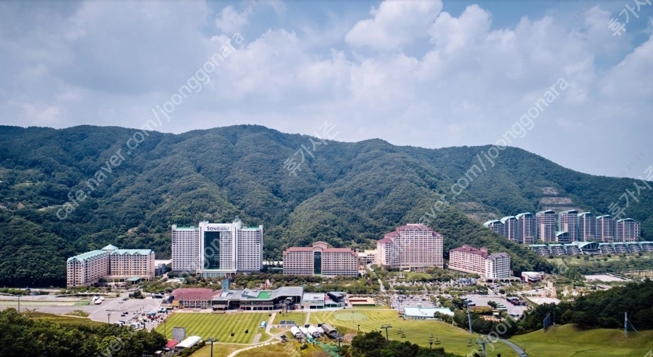 비발디파크 홍천 (스키장) 내일 양도 이미지