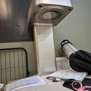 BBRAY 펫케어 근적외선조사기 이미지