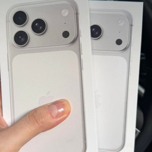 아이폰 17프로맥스 512기가