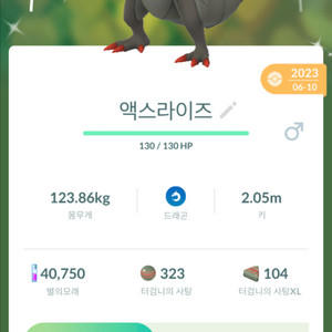 액스라이즈 이로치 포켓몬고 이미지