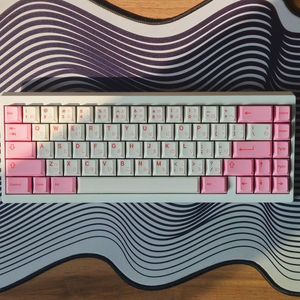 베놈60he 베놈65he 래피드트리거 키보드 조립 제작 판매합니다!