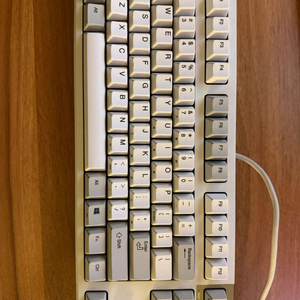 리얼포스 R2 AHBZ52 텐키리스. 55g