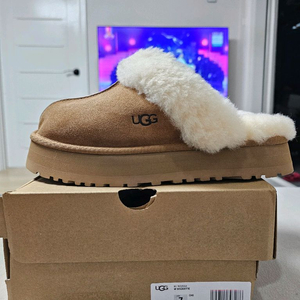 UGG 미국 어그 디스케트