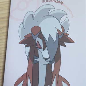 포켓몬 포토카드 앨범