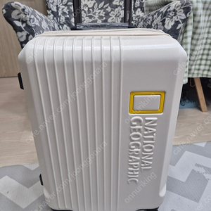 [확장형] 내셔널지오그래픽 캐리어 20인치 기내용