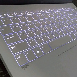 LG 풀옵 13세대 i7 화이트 그램/램32G,512G