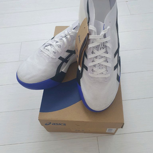 새상품 메타스피드 레이 코발트 265,270m 러닝화