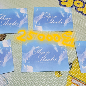 플레이브 증명사진 일괄