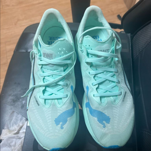 푸마 디나엘3 270