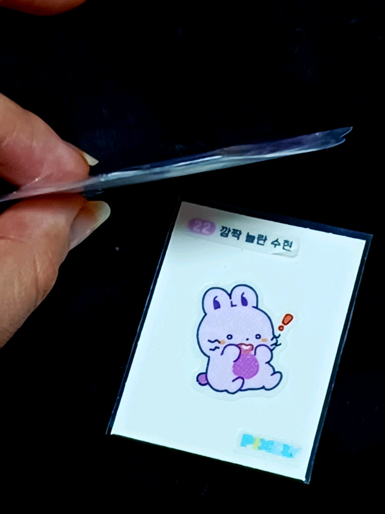 (반택포)수현굿즈 일괄판매 픽셀리 잠뜰 뜰팁--1