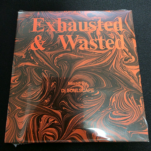 Exhausted & Wasted DJ SOULSCAPE