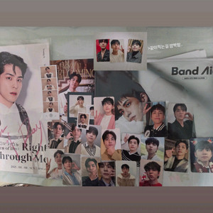 데이식스 원필 미니포스터+공식 포카 일괄