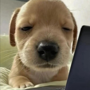 언제 오려나 가챠 일괄 9개