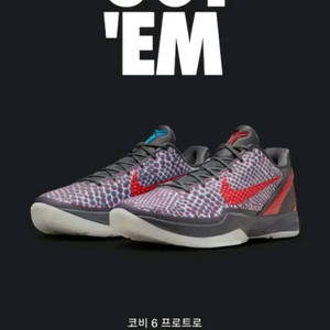 [255] 코비6 프로트로 3D