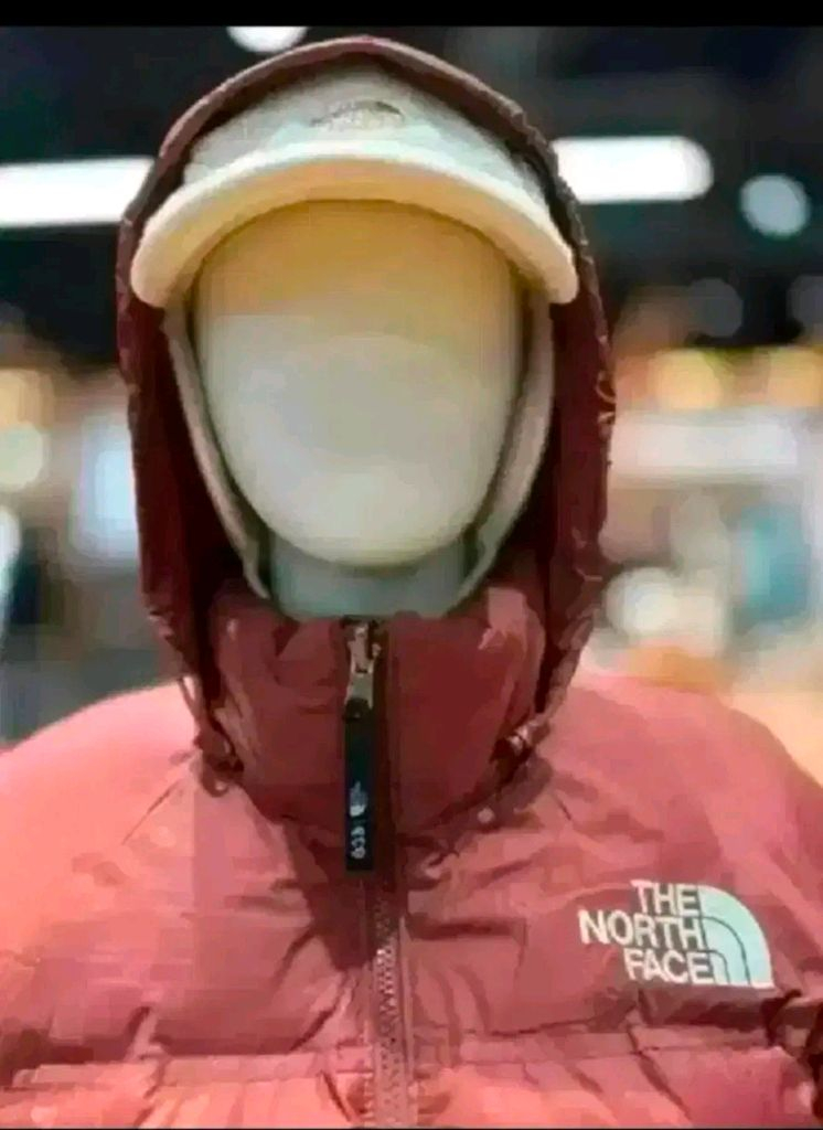 노스페이스 여성 1996 에코 눕시 구스다운 패딩 자켓 새제품 90M사이즈--4