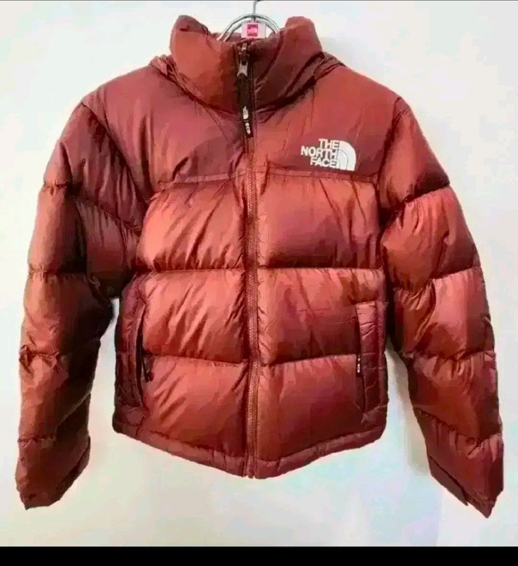 노스페이스 여성 1996 에코 눕시 구스다운 패딩 자켓 새제품 90M사이즈--5