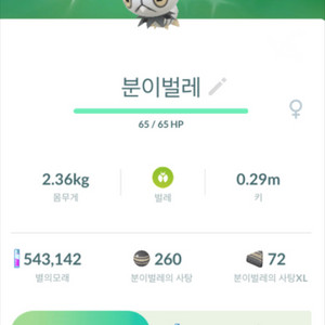 포켓몬고 분이벌레 이로치