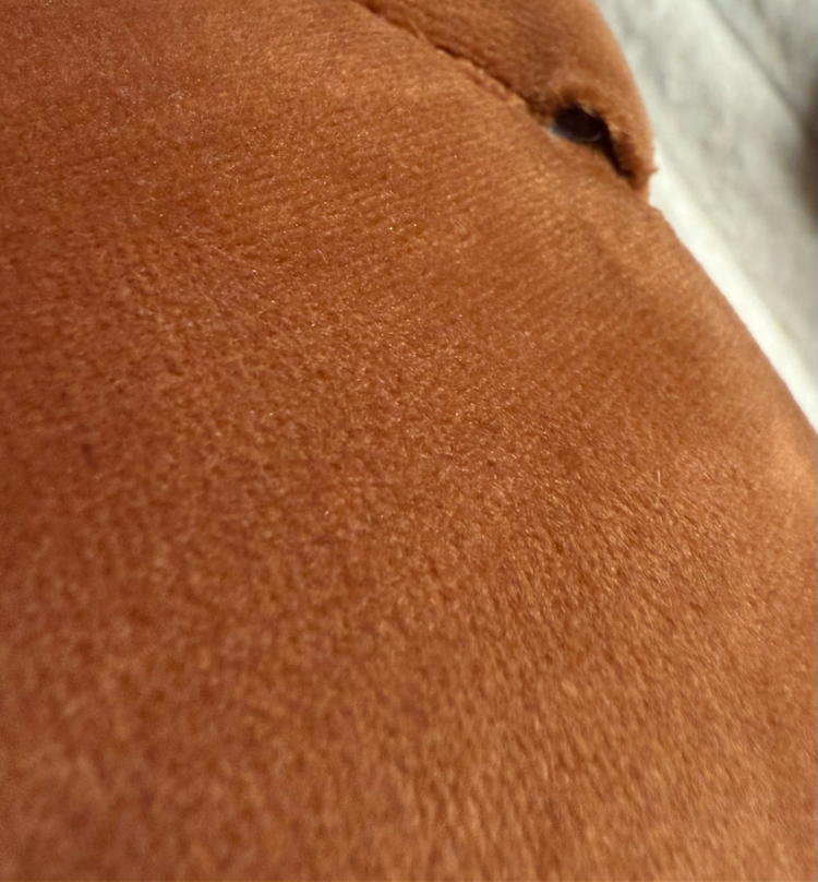 데이식스 자이언트 데니멀즈 일괄--1