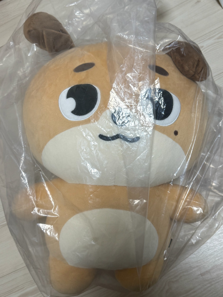 데이식스 자이언트 데니멀즈 일괄--2