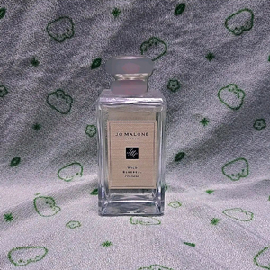 조말론 와일드 블루벨 코롱 100ml