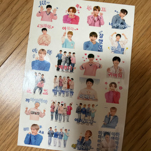 세븐틴 인스 스티커