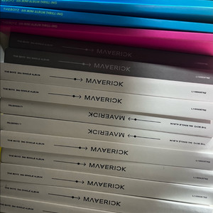 더보이즈 스릴라이드 메버릭 개봉앨범 theboyz 인형 콘서트 선우