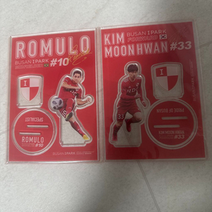 부산아이파크 김문환, 호물로 한정판 등신대