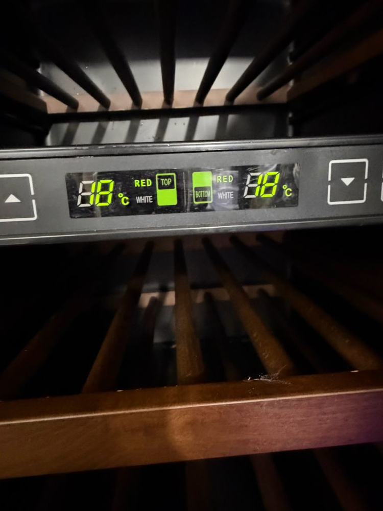 LG 디오스 와인셀러 65병형 214L--1