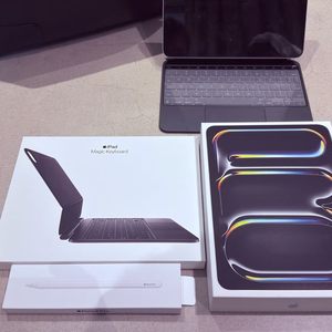 아이패드 프로 11 M5 256 wi-fi 실버 + 풀셋 팝니다.