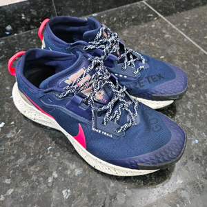 (260) 나이키 페가수스 트레일3 고어텍스 러닝화 A급 등산화 러닝화