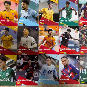 파니니 2025 K1 축구카드