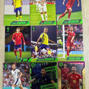 파니니 탑클래스 2025 축구카드