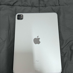 아이패드 프로 11인치 2세대 256GB 셀룰러